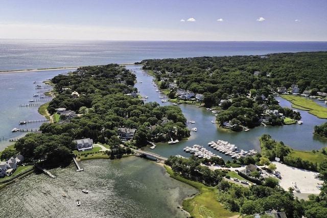 bird's eye view with a water view