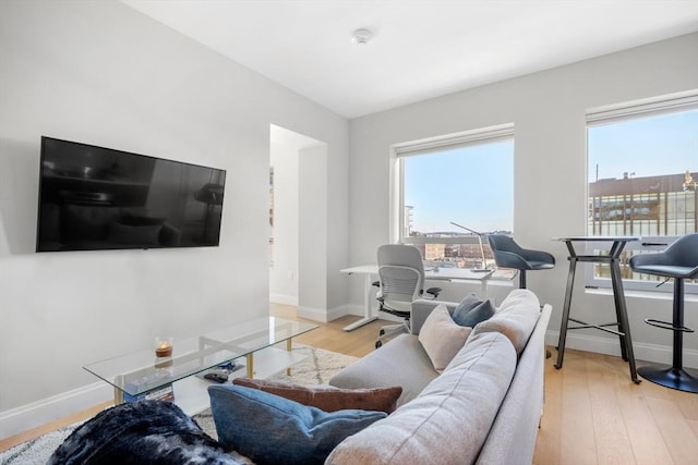 living room featuring plenty of natural light and light hardwood / wood-style flooring