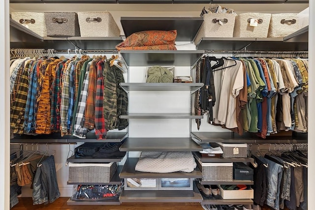 view of walk in closet