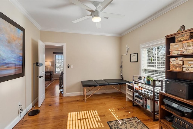 miscellaneous room featuring crown molding, plenty of natural light, and light wood-style floors