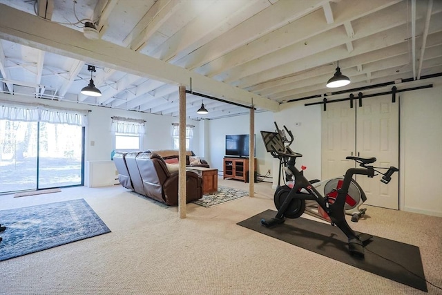 workout area with a barn door and carpet