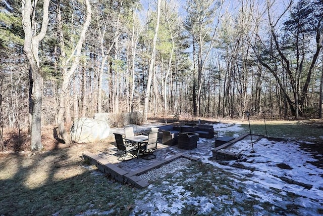 view of yard featuring a patio area and a wooded view