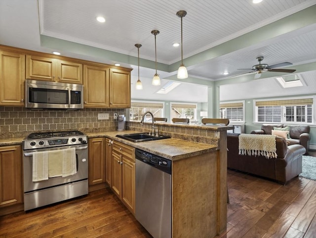 kitchen with a skylight, appliances with stainless steel finishes, a sink, a peninsula, and dark wood-type flooring