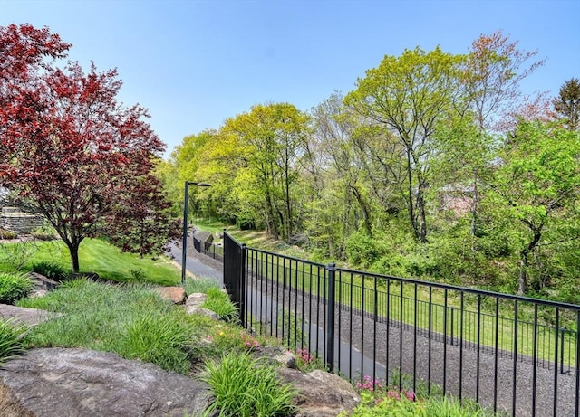59 Walpole St Unit 202, Canton, MA 02021 - view of yard