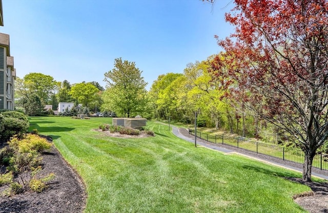 59 Walpole St Unit 202, Canton, MA 02021 - view of yard