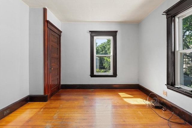 12 Leonard St, Somerville, MA 02144 - unfurnished room with light wood finished floors and ornamental molding