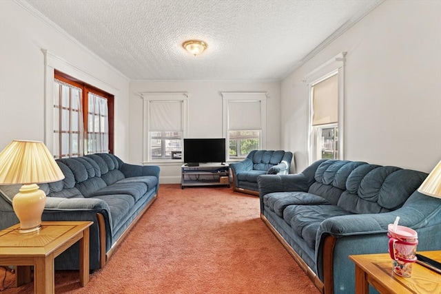 12 Leonard St, Somerville, MA 02144 - living area with a textured ceiling, light carpet, and ornamental molding