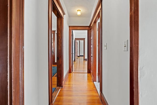 12 Leonard St, Somerville, MA 02144 - hall with light wood-type flooring and baseboards