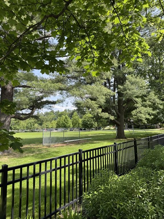 251 Waltham St, Newton, MA 02465 - view of yard