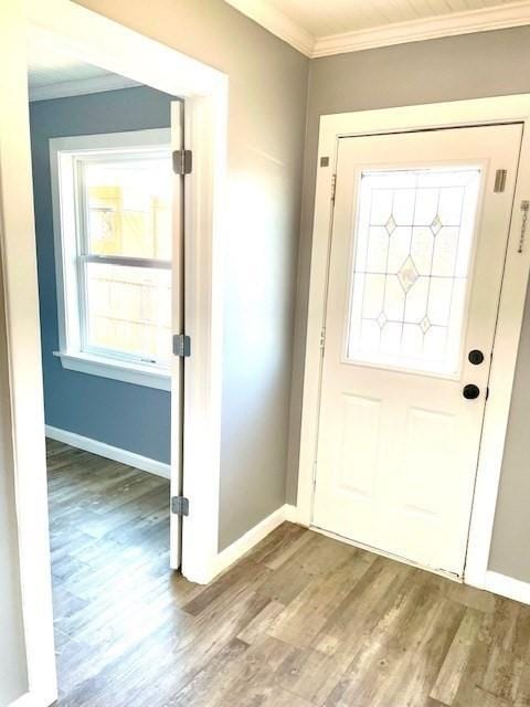 entryway featuring crown molding and wood-type flooring