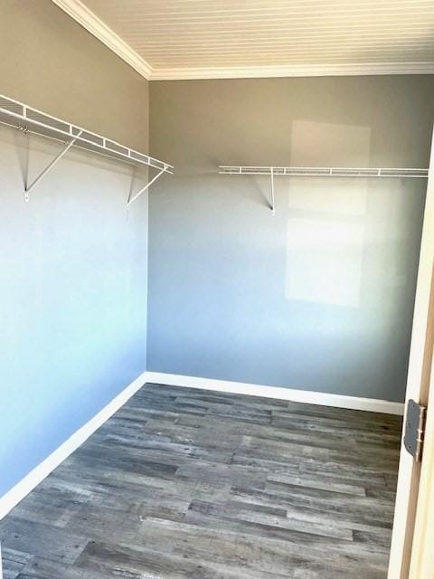 spacious closet with dark wood-type flooring