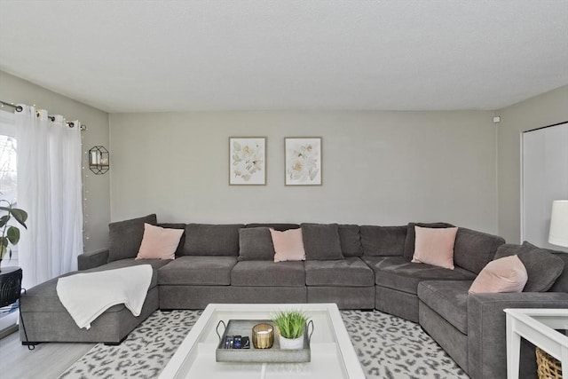 living area with light wood-type flooring