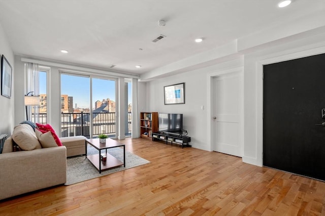 living room with light wood-type flooring