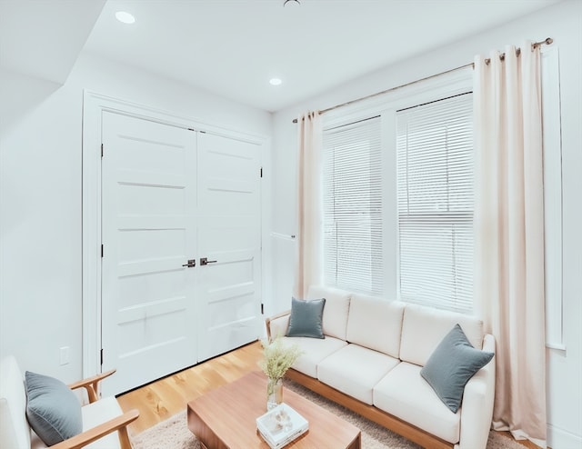 living room featuring hardwood / wood-style floors