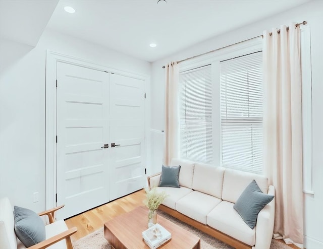 56 Belmont St Unit 3, Boston, MA 02129 - living room with recessed lighting and light wood-style flooring