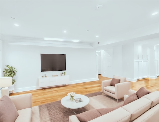 living room featuring wood-type flooring