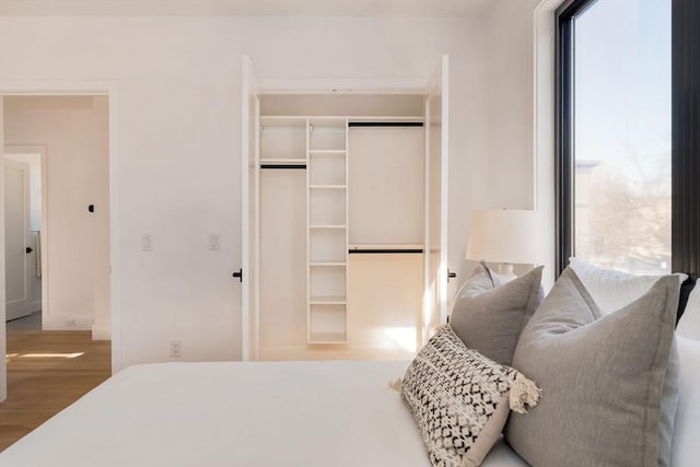 bedroom with multiple windows, a closet, and hardwood / wood-style floors