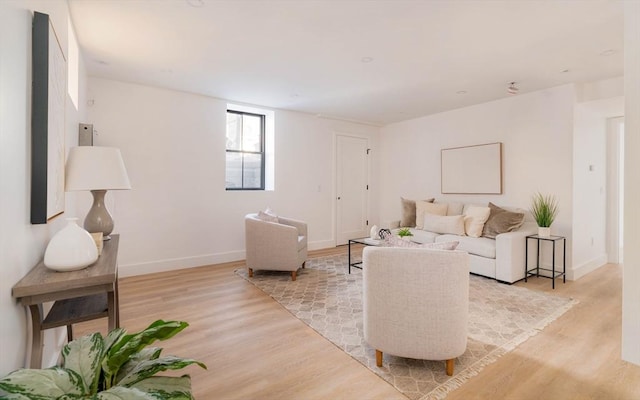 living room with light wood-type flooring