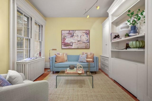 sitting room with light wood-type flooring, radiator heating unit, and rail lighting