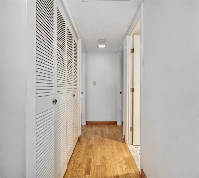 49 Melrose St Unit 7F, Melrose, MA 02176 - hallway with wood finished floors and baseboards