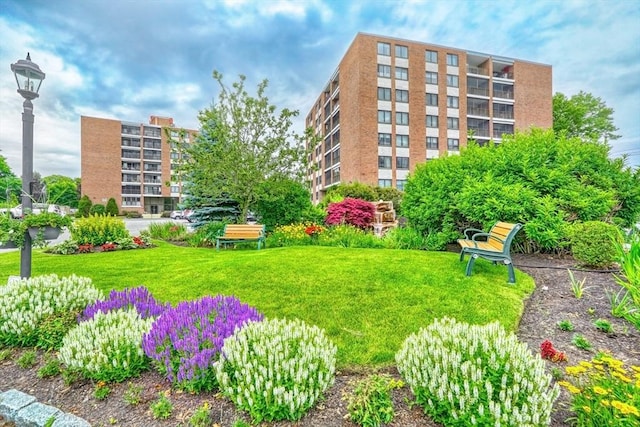 49 Melrose St Unit 7F, Melrose, MA 02176 - view of property's community featuring a yard