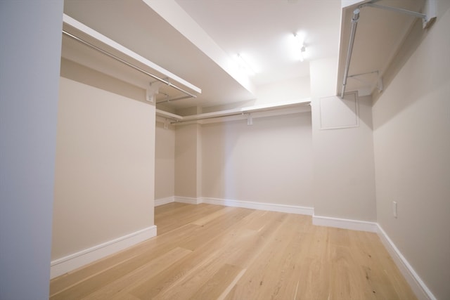 walk in closet with light wood-type flooring