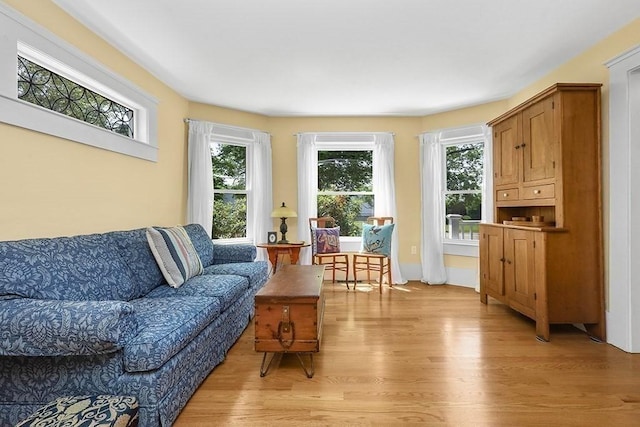 40 Maple St, Mansfield, MA 02048 - living area featuring light wood finished floors