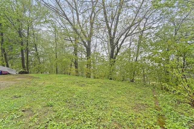 view of yard with a view of trees
