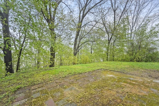 view of yard with a wooded view