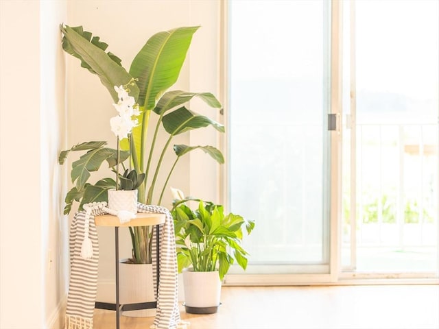 200 Cove Way Unit 106, Quincy, MA 02169 - detailed view