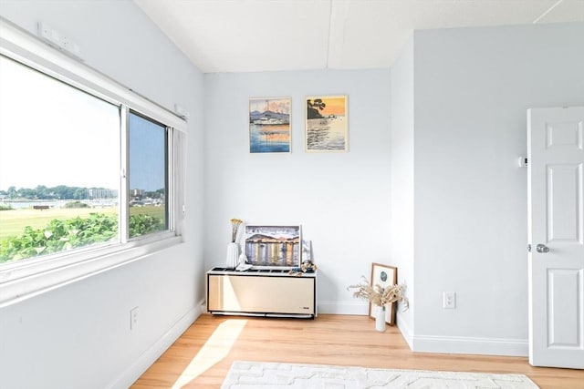 200 Cove Way Unit 106, Quincy, MA 02169 - living area featuring light wood-type flooring