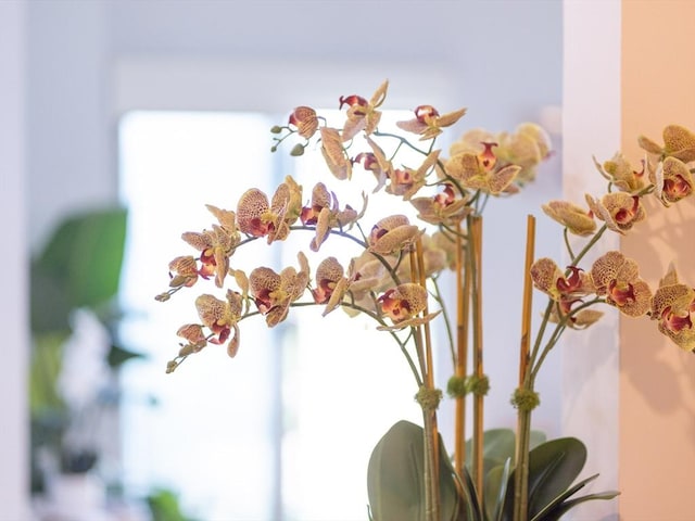 200 Cove Way Unit 106, Quincy, MA 02169 - detailed view