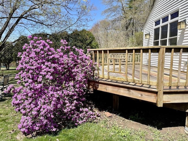 52 Burnett St, Granby, MA 01033 - view of wooden deck