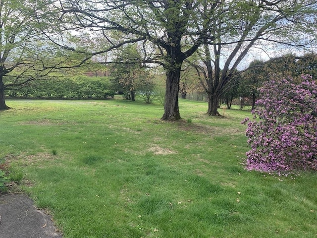 52 Burnett St, Granby, MA 01033 - view of green lawn