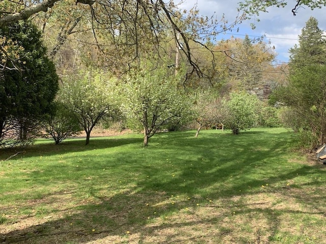 52 Burnett St, Granby, MA 01033 - view of grassy yard