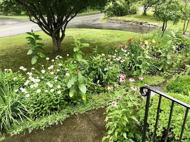 52 Burnett St, Granby, MA 01033 - view of grassy yard