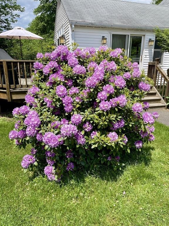 52 Burnett St, Granby, MA 01033 - exterior view