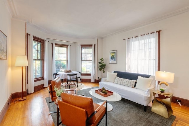 140 Highland Ave Unit 1, Somerville, MA 02143 - living room featuring light wood-style flooring, baseboards, and crown molding
