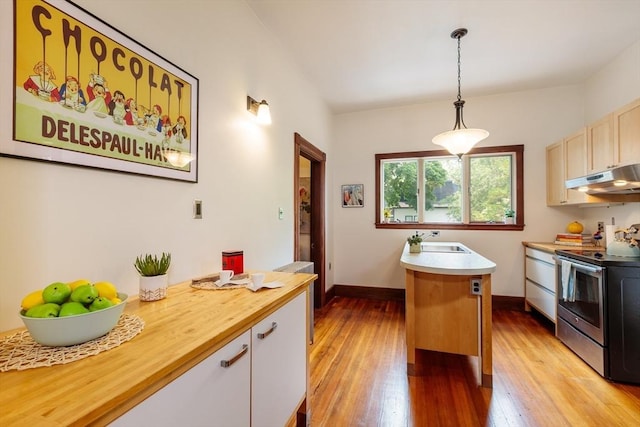140 Highland Ave Unit 1, Somerville, MA 02143 - kitchen with stainless steel electric range oven, under cabinet range hood, a sink, light wood-type flooring, and decorative light fixtures