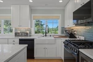 kitchen with black appliances, white cabinetry, sink, and a wealth of natural light