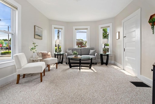 162 Park St Unit 1, Beverly, MA 01915 - living area featuring light carpet and baseboards