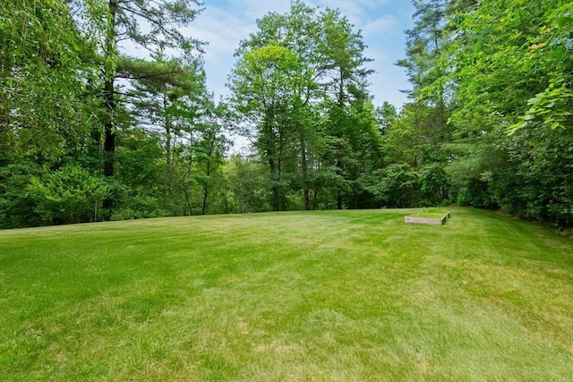 15 Hillside St, Rowley, MA 01969 - view of green lawn with a wooded view