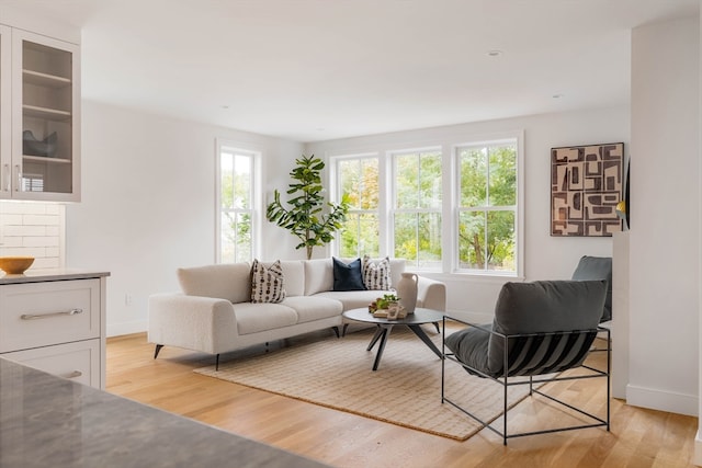 living room featuring light hardwood / wood-style floors