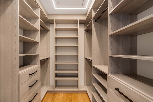 spacious closet with light wood-type flooring