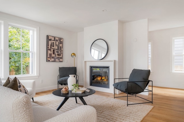 living room featuring light hardwood / wood-style floors