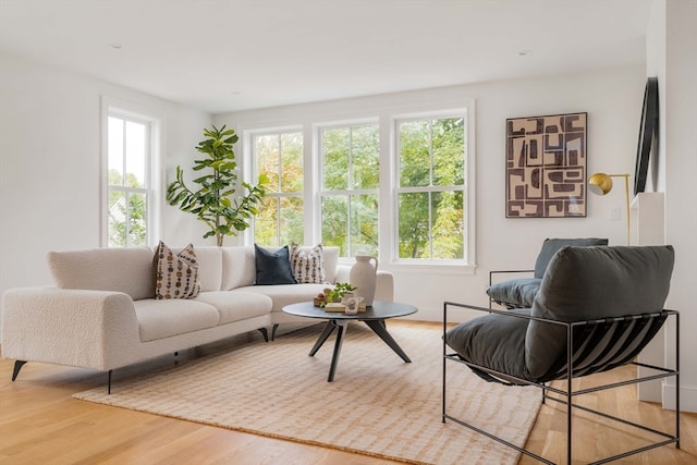 interior space with hardwood / wood-style flooring