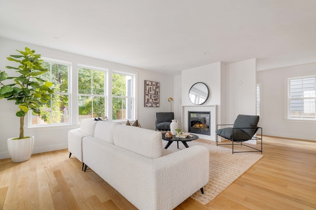 living room featuring light hardwood / wood-style flooring and a healthy amount of sunlight