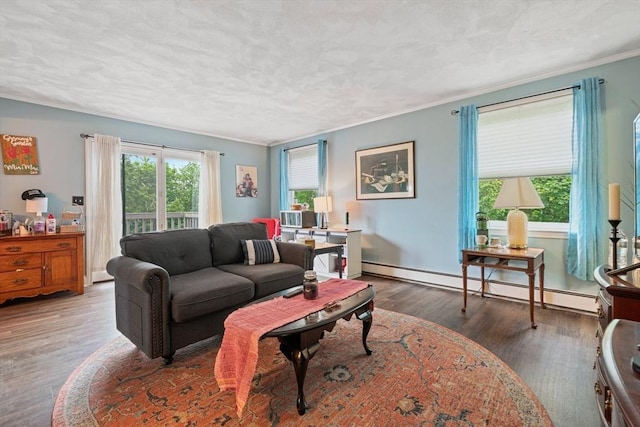 161 Old Farm Rd, Leominster, MA 01453 - living room featuring a baseboard radiator, wood finished floors, ornamental molding, a textured ceiling, and baseboards