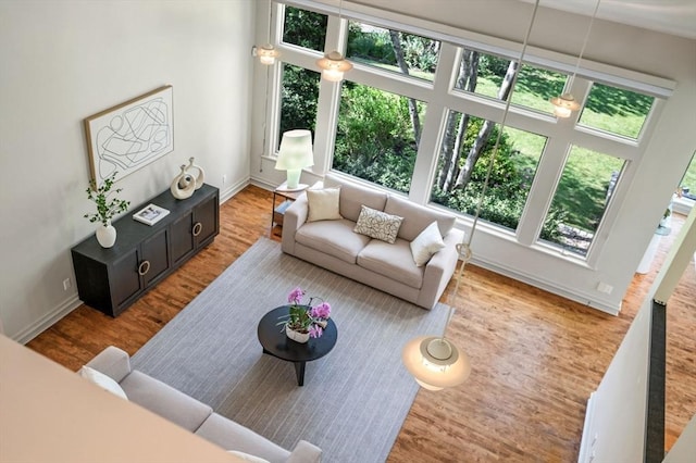 living room with baseboards and wood finished floors