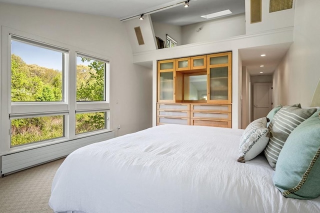 carpeted bedroom with rail lighting and high vaulted ceiling